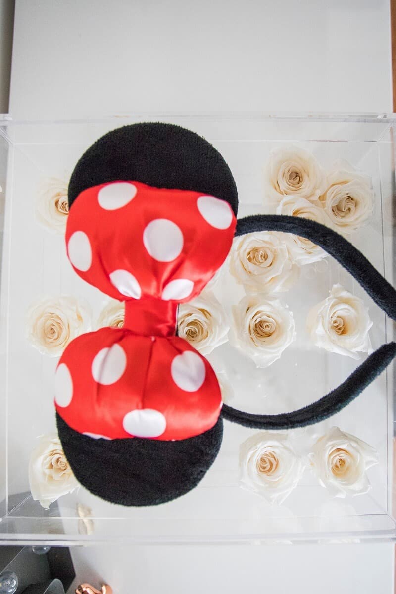 Minnie Mouse Ears